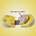 Color 3