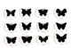 12pcs