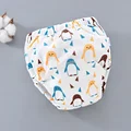 penguin