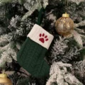 Green Paw
