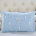 pillowcase 2-30x50cm