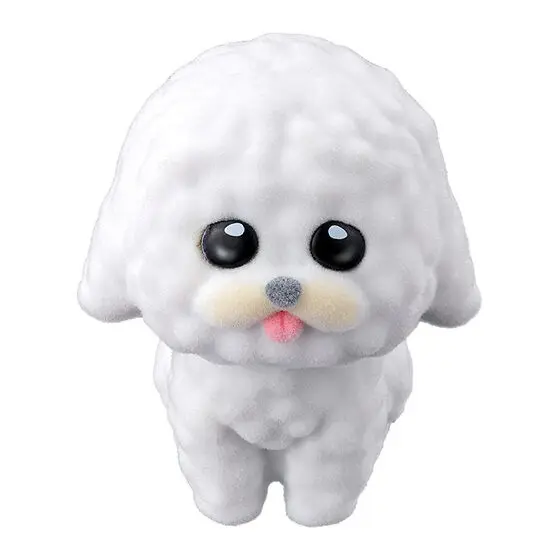 Bichon Frise