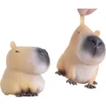 2pcs