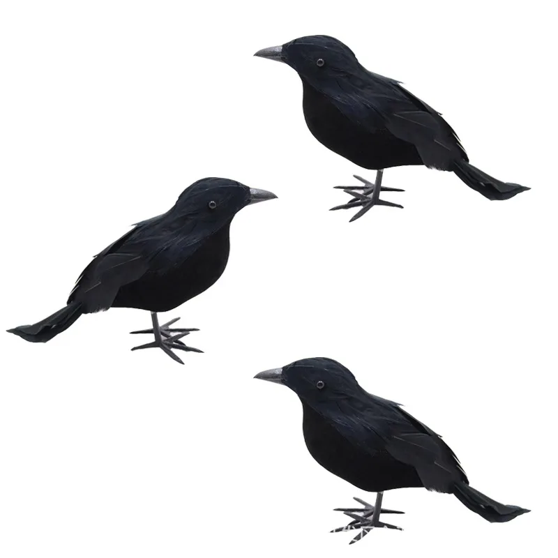 3PCS Crow A
