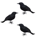3PCS Crow A