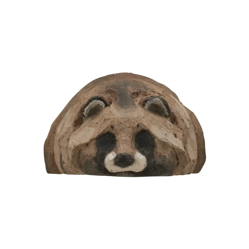 Raccoon dog Lying