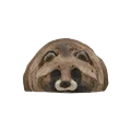 Raccoon dog Lying