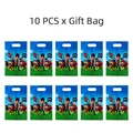 10pcs Gift Bags