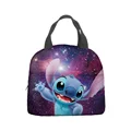 Lunch bag-11