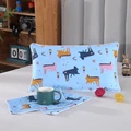 9-pillowcase-1pc