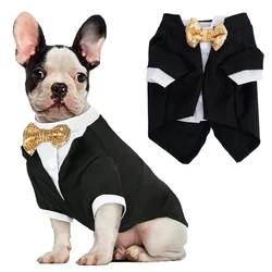 Traje formal para perro pequeño con esmoquin y pajarita elegante