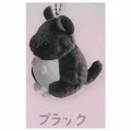 Chinchilla black