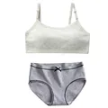 1 Set Grey