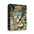 Pokemon 22