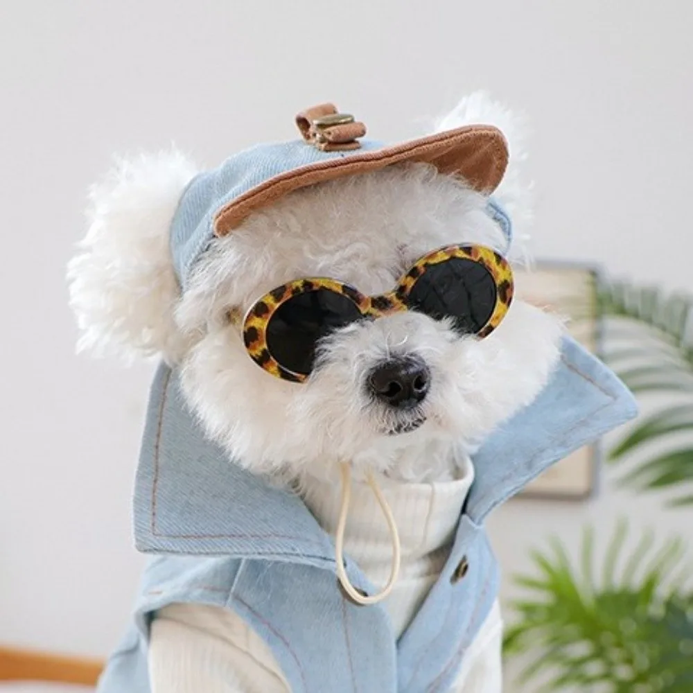 Gorra para perro vaquera con visera ajustable y gafas de sol - imagen 2