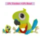Parrot Set5