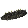 Black Sea Cucumber