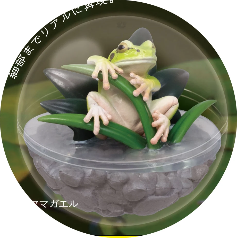 tree frog
