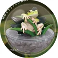 tree frog