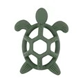 Hollow Turtle 3