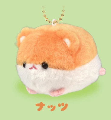 gold white hamster