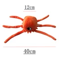 24cm