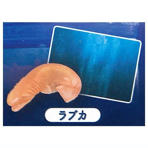 Frilled shark
