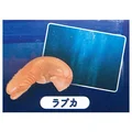 Frilled shark