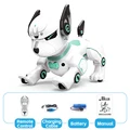 rc robot dog