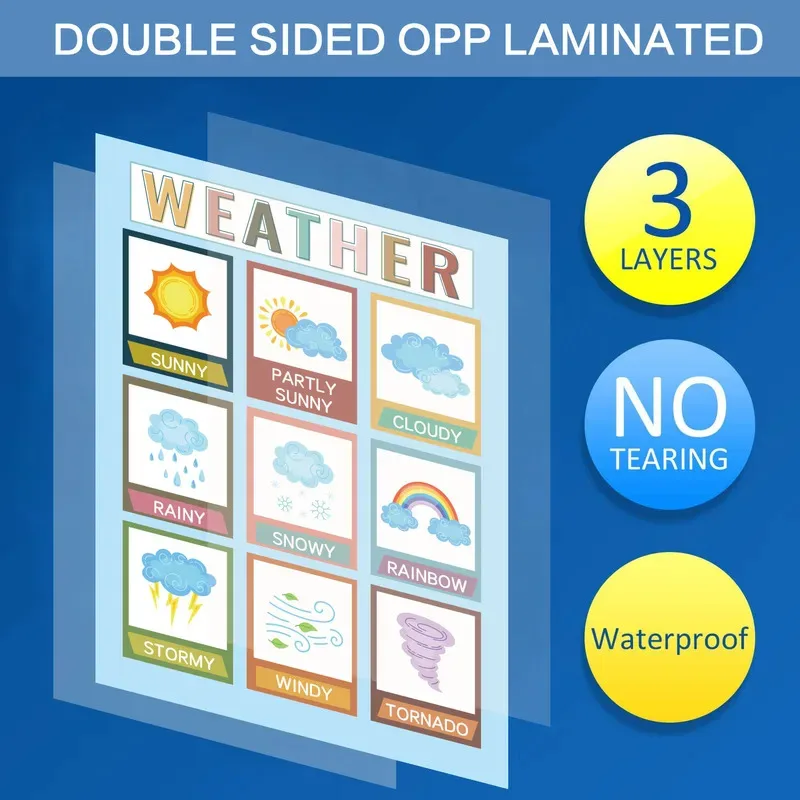 Póster de tabla de pared en inglés para educación temprana, 16 Uds., Montessori, tarjeta ocupada repetidamente, libro a juego para niños, juguetes, regalo - imagen 5