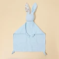 rabbit C4