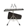 with music stand