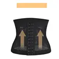 XL