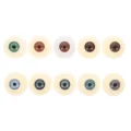 Assorted Color