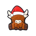 Highland Cow B