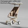 champagne gold