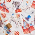 Circus troup
