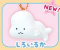 white dolphin