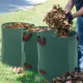 Verde claro
