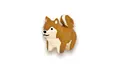 shiba inu dog