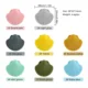 10pcs Shell Mix