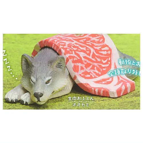 Raw meat wolf