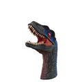 Raptor
