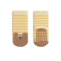 Cute bear