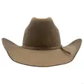 for camel