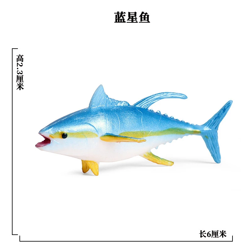 SEA LIFE - 6