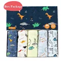 Dinosaur 1-BOX