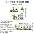 pot plants