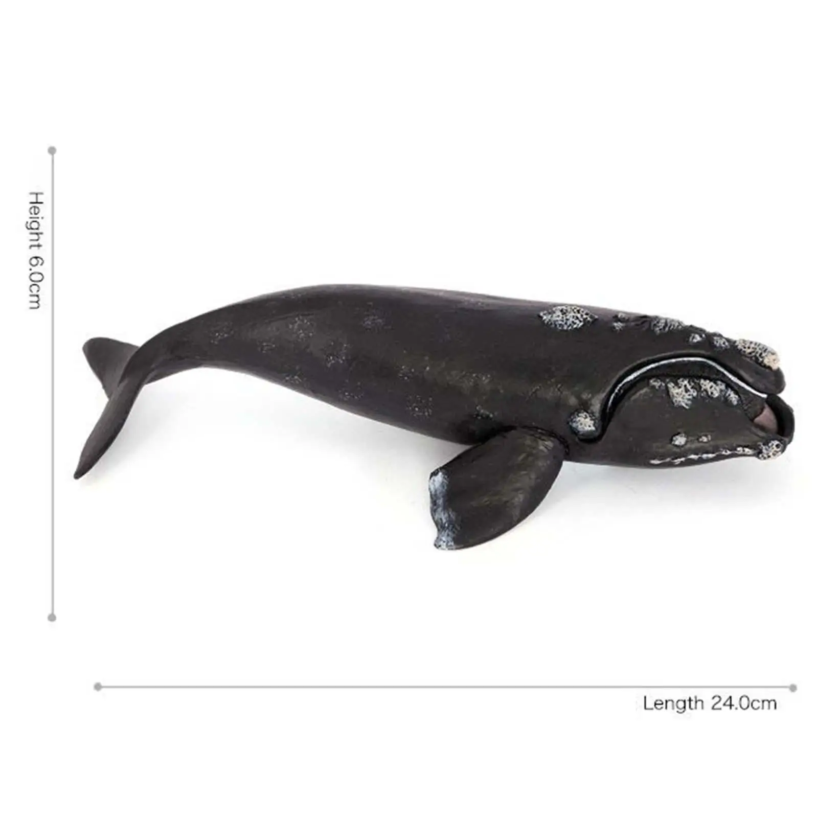 Whale Action Figure Aquarium Simulation Role Play Sea Life Realistic Sea Model for Toddlers Children Kids Boys Girls Gift