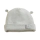 bear gray